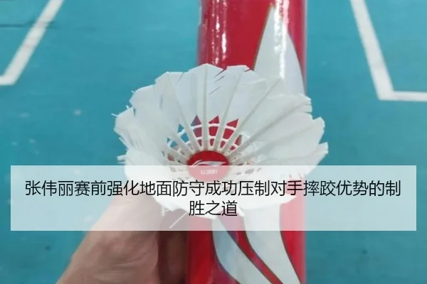 张伟丽赛前强化地面防守成功压制对手摔跤优势的制胜之道